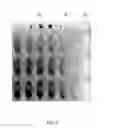 Fig. 09 - Devices for modulation of temperature and light based on phase change materials