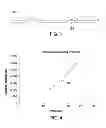 Fig. 04 - Apparatus and method of zonal isolation