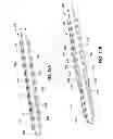 Fig. 09 - Apparatus and method of zonal isolation
