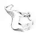 Fig. 02 - HOOF COVER