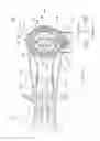 Fig. 16 - Power tool and auxiliary handle member