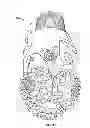 Fig. 18 - HIGH SHEAR ROLLER CONE DRILL BITS