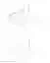 Fig. 02 - Tooth for roller crusher