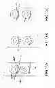 Fig. 14 - Method and system for conveying tires and an apparatus for doing the same