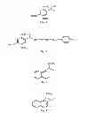 Fig. 02 - Microwave induced single step green synthesis of some novel 2-aryl aldehydes and their analogues