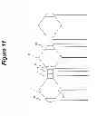Fig. 12 - Efficient dilution method, including washing method for immunoassay