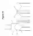 Fig. 13 - Efficient dilution method, including washing method for immunoassay