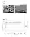 Fig. 09 - Mold production method