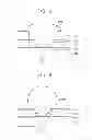 Fig. 04 - Copper electroplating solution and copper electroplating apparatus