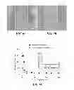 Fig. 07 - Chemical sensor based on highly organized single walled carbon nanotube networks