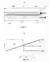 Fig. 05 - SYSTEMS AND METHODS FOR INCREASING CONVECTIVE CLEARANCE OF UNDESIRED PARTICLES IN A MICROFLUIDIC DEVICE