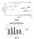 Fig. 07 - Method of purifying nucleic acids, method of extracting nucleic acids and kit for purifying nucleic acids