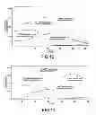 Fig. 08 - Method of purifying nucleic acids, method of extracting nucleic acids and kit for purifying nucleic acids