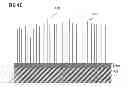 Fig. 06 - Method for manufacturing a plurality of nanowires