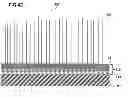Fig. 07 - Method for manufacturing a plurality of nanowires