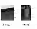 Fig. 03 - Dual Function Base Support Cover
