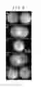 Fig. 09 - ELECTRON MICROSCOPE AND SAMPLE OBSERVATION METHOD
