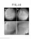 Fig. 11 - ELECTRON MICROSCOPE AND SAMPLE OBSERVATION METHOD