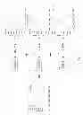 Fig. 05 - SPECTRAL VARIANCE COMPRESSIVE DETECTION SYSTEM, DEVICE, AND PROCESS