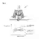 Fig. 06 - CHARGED PARTICLE BEAM WRITING METHOD