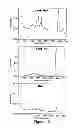Fig. 16 - Methods, systems and devices for detecting insects and other pests