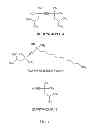 Fig. 02 - CMP COMPOSITIONS AND METHODS FOR SUPPRESSING POLYSILICON REMOVAL RATES