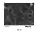 Fig. 10 - Polycrystalline metal oxide, methods of manufacture thereof, and articles comprising the same