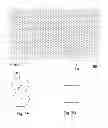 Fig. 05 - OPTOELECTRIC DEVICE AND METHOD FOR MANUFACTURING THE SAME