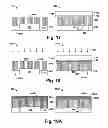 Fig. 13 - Self aligned contact formation
