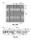 Fig. 14 - Self aligned contact formation