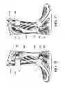 Fig. 11 - Circumferential walker
