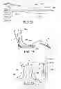 Fig. 14 - Circumferential walker