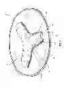 Fig. 10 - Multi-chamber driver airbags