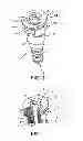Fig. 02 - Quick connector