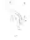 Fig. 09 - CAMMING DOG