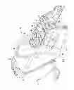 Fig. 02 - Multiple container holder assembly