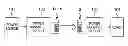 Fig. 01 - Contactless connector system tolerant of position displacement between transmitter coil and receiver coil and having high transmission efficiency