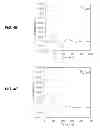 Fig. 07 - Self-tuned dielectric barrier discharge