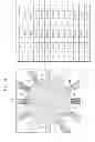 Fig. 04 - Spin rotation device