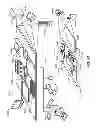 Fig. 58 - Managing streetlights