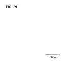 Fig. 30 - Electronic device
