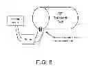 Fig. 12 - Determination of specific absorption rate (SAR) in magnetic resonance imaging (MRI)