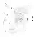 Fig. 10 - 7-Way crab joint