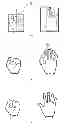 Fig. 01 - Palm gesture recognition method and device as well as human-machine interaction method and apparatus