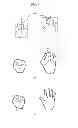 Fig. 05 - Palm gesture recognition method and device as well as human-machine interaction method and apparatus