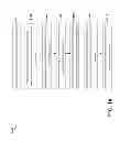 Fig. 17 - Apparatus and method for controlling an augmented reality device