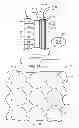 Fig. 02 - Apparatus for providing light source modulation in dual modulator displays