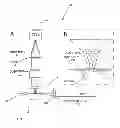 Fig. 01 - Bessel beam plane illumination microscope