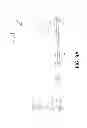 Fig. 09 - Bessel beam plane illumination microscope