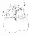 Fig. 10 - Mobile device with operation for modifying visual perception